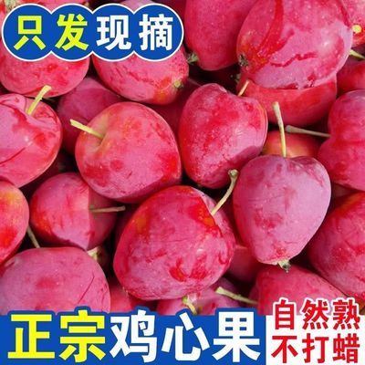 果王黑龙江发源地发货正宗鸡心果锦绣海棠果塞外红酸甜孕妇水果优惠商品图片