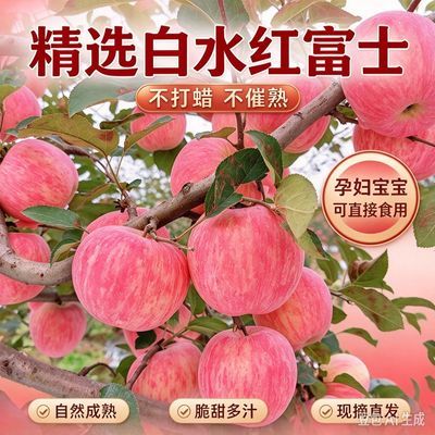 2026年新鲜采摘农家红富士苹果当季红苹果脆甜微酸口感整箱批发