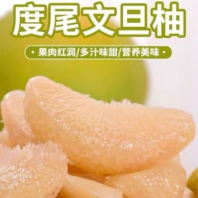 【小果无孔】正宗度尾文旦柚老树当季现摘柚子酸甜孕妇无虾线果