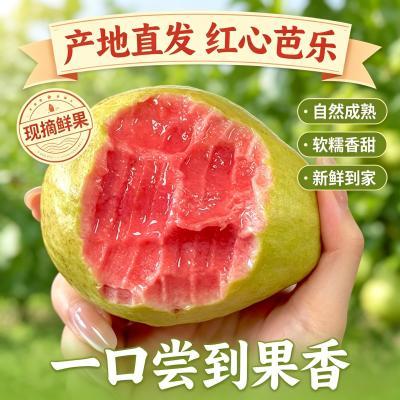 【精品】红心芭乐番石榴软糯软心新鲜应季孕妇低糖类水果