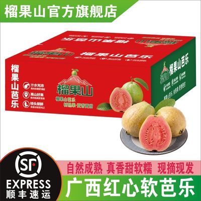 【顺丰礼盒】广西红心芭乐新鲜水果红心番石榴奶油白心芭乐放软吃