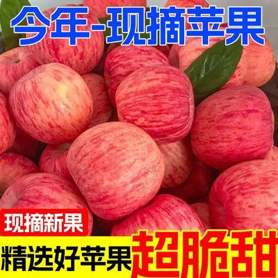 【又脆又甜】正宗红富士水果甜新鲜苹果冰糖心竖条纹当季整箱批发