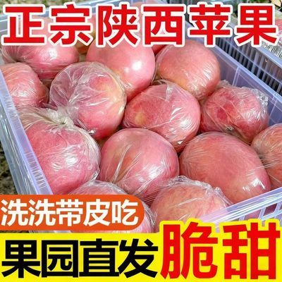 【爆汁脆甜】陕西红富士苹果当季新鲜水果膜袋苹果冰糖心整箱批发