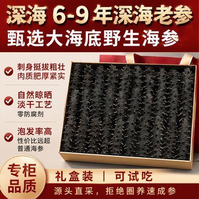 大连纯淡干海参深海底播海参干货非即食海参特级辽参便宜海鲜正品