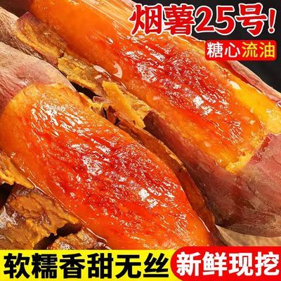 正宗烟薯25号糖心甜糯真蜜薯烤地瓜冰糖心农家新鲜现挖红薯地瓜