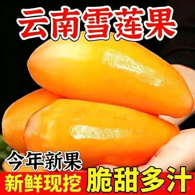 【5斤彩箱】正宗云南天山雪莲果脆甜水果应季新鲜水果清甜一整箱