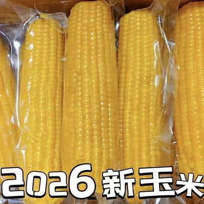 【5-6斤大棒】新鲜黄糯玉米真空包装代餐苞玉米棒整箱