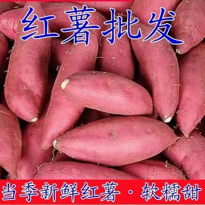 【刚刚降价】特级蜜薯黄心红薯糖心红薯新鲜番薯好吃龙九整箱西瓜