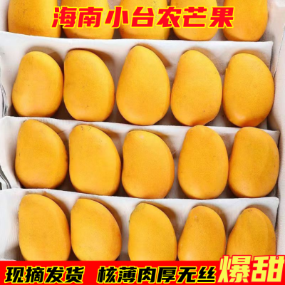 正宗海南小台芒薄皮当季芒果新鲜水果爆甜孕妇水果整箱包邮
