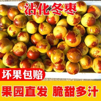 【彩箱】现摘脆甜沾化冬枣大果枣子新鲜水果礼盒品质净重2/4斤