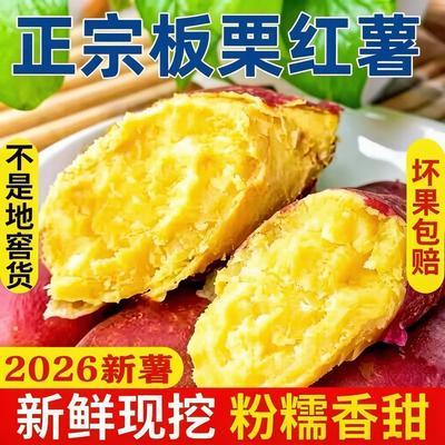 正宗板栗红薯沙地新鲜批发香甜黄心蜜薯地瓜番薯农家自种现挖整箱