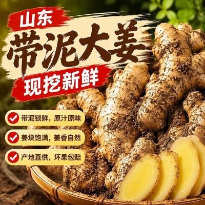 【9斤现挖山东大姜】新鲜生姜黄姜带泥老姜鲜姜月子姜整箱批发5斤