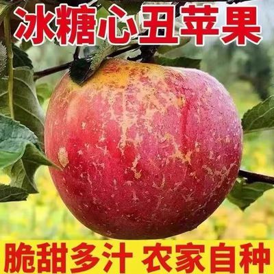 【彩箱9-10斤】正宗冰糖心丑苹果新鲜红富士苹果水果当季整箱批发