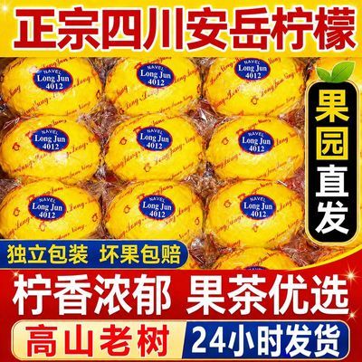四川鲜果安岳柠檬当季新鲜水果薄皮多汁商用切片泡水奶茶整箱批发