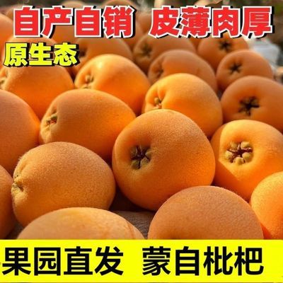 正宗头茬云南蒙自枇杷应当当季新鲜高山水果多汁琵琶老树整箱