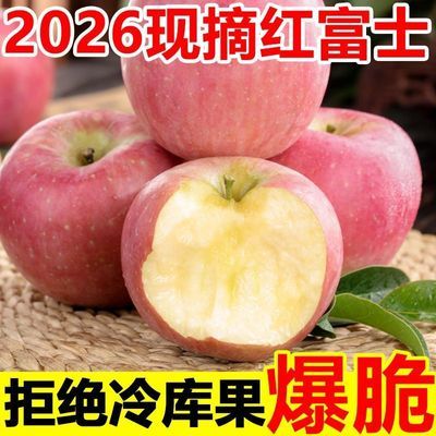 【爆汁】2026头茬红富士苹果水果应季新鲜脆甜冰糖心苹果整箱批发