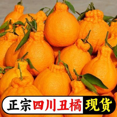正宗四川不知火丑八怪丑橘当季新鲜水果丑柑薄皮春见整箱橘子桔子