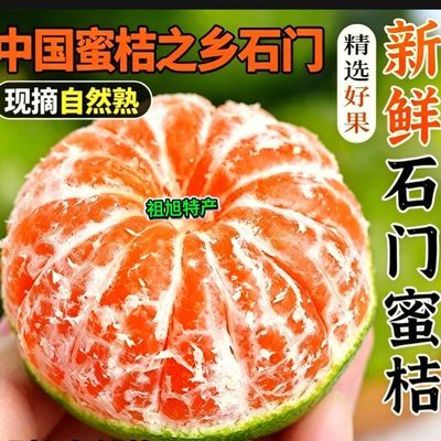 湖南石门早熟蜜桔早熟蜜桔桔子孕妇新鲜无核青皮桔子礼盒
