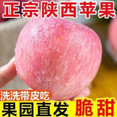 【爆甜】头茬正宗苹果红富士孕妇当季新鲜水果冰糖心苹果整箱批发