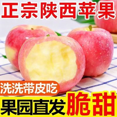 【头茬】陕西高原红富士苹果冰糖心孕妇当季新鲜水果一整箱批发