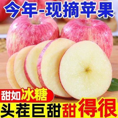 【脆甜】正宗山西脆甜红富士当季冰糖心新鲜水果新鲜苹果批发价
