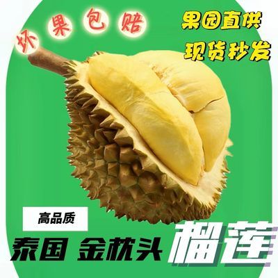 【榴莲甄选】泰国金枕榴莲鲜果整个带壳新鲜水果批发价新鲜榴莲