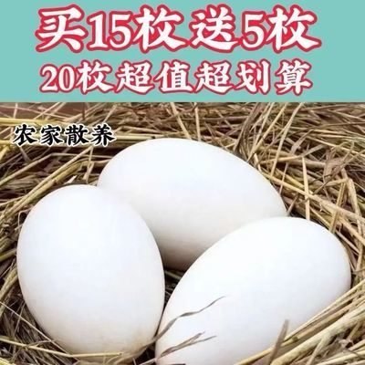 正宗散养雁鹅蛋自养大雁鹅蛋新鲜农家鲜鹅蛋五谷杂粮一整箱批发