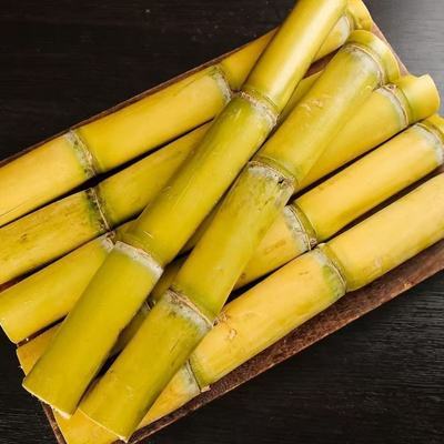 【产地直销】正宗云南黄金甘蔗彩箱新鲜现砍自然包邮青皮批发