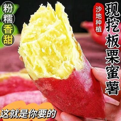 5斤正宗板栗黄心薯粉香甜地瓜栗面细腻红薯农家自种新鲜现挖整箱