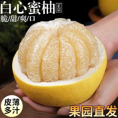 【爆汁白玉柚】福建平和白柚子正宗白心蜜柚应季新鲜水果薄皮批发