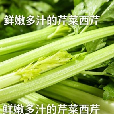 高原夏菜西芹 鲜嫩多汁少筋 农家现摘新鲜芹菜 炒菜凉拌榨汁蔬菜