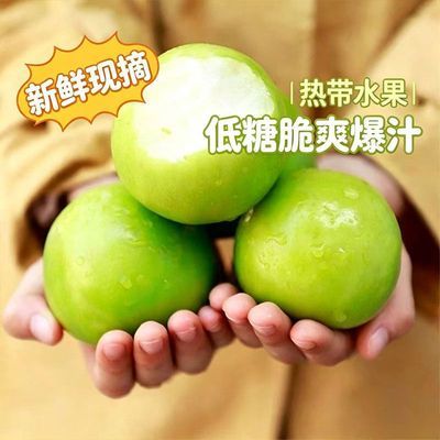 云南新鲜牛奶大青枣当季脆甜多汁现摘孕妇时令水果彩箱装批发