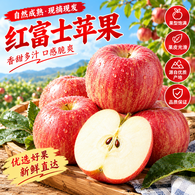 【产地直发】陕西高山正宗红富士苹果脆甜新鲜水果整箱包邮发货