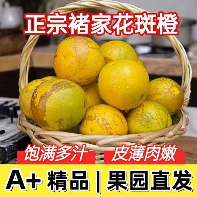 正品正宗褚家花斑果云南哀牢山冰糖橙纯甜多汁新鲜水果花斑橙