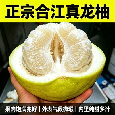 地理标志产品四川合江真龙柚果园现摘纯甜多汁当季鲜果产地直发