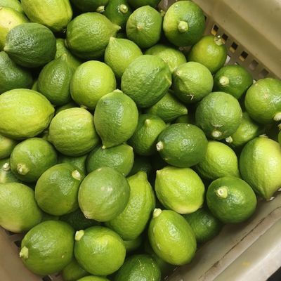 广东香水柠檬二级青浓香型果无籽微黄果专用新鲜奶茶店直发