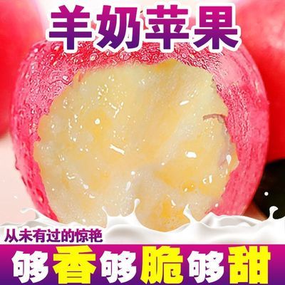 【彩箱泡沫托】正宗山西羊奶苹果酥脆万荣红富士新鲜苹果水果批发