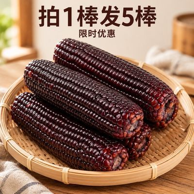 限时优惠)拍1发五甜糯黑玉米真空包装代餐香甜软糯满满花青素