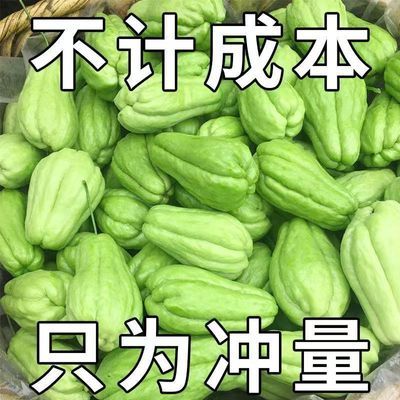 特惠】佛手瓜新鲜洋瓜正宗现摘窝瓜当季农家丝瓜寿瓜自种蔬菜批发