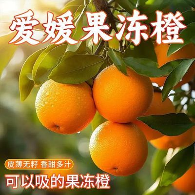 四川眉山38号爱媛果冻橙应季水果爆甜多汁