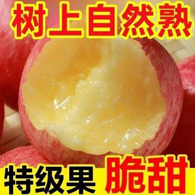 带箱9-10斤】正宗高山红富士新鲜苹果冰糖丑苹果当季一整彩箱批发