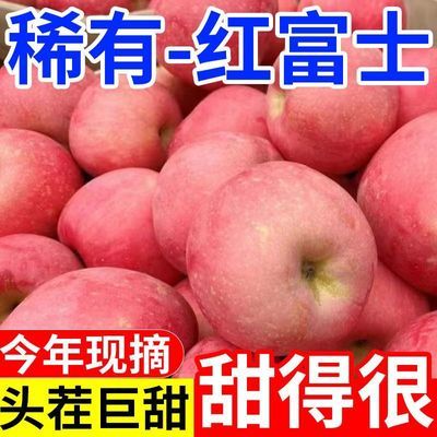 【脆甜】正宗冰糖心丑苹果红富士新鲜水果脆甜不打蜡当季整箱批发