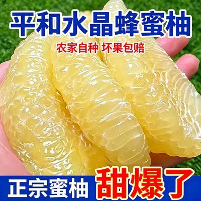 正宗福建平和白心柚子白肉蜜柚薄皮孕妇新鲜多汁白柚超甜水果批发