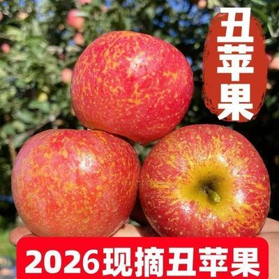 【脆甜多汁】正宗红富士丑苹果脆甜不打蜡水果新鲜当季现摘冰糖心