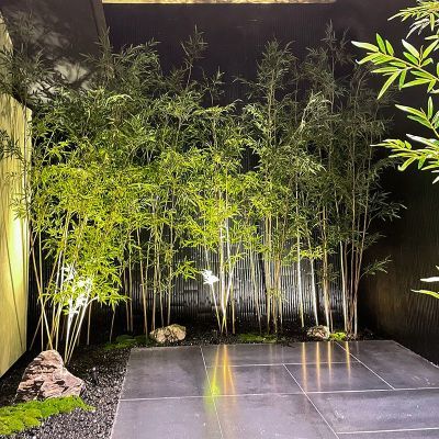 仿真竹子装饰摆件  一根体验装 只有一根