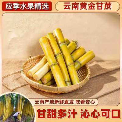 【产地直销】正宗云南黄金甘蔗彩箱新鲜现砍自然包邮青皮批发优惠商品图片