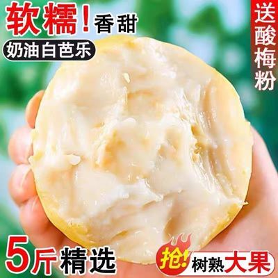 广东白心芭乐冰淇淋奶油口感正宗番石榴当季新鲜现摘水果芭乐白心