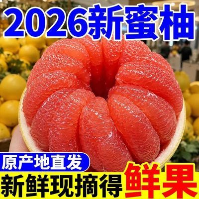 定制配件【正宗蜜柚】福建平和红心蜜柚头茬柚新鲜应季水果爆甜