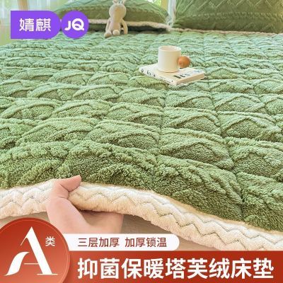 JQ婧麒A类塔芙绒床褥冬季加绒加厚床护垫子儿童家用卧室保暖床单