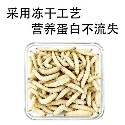 冻干蜂蜜虫蜜袋鼯守宫零食冻干玉米虫蜥蜴乌龟零食仓鼠粮批发便宜